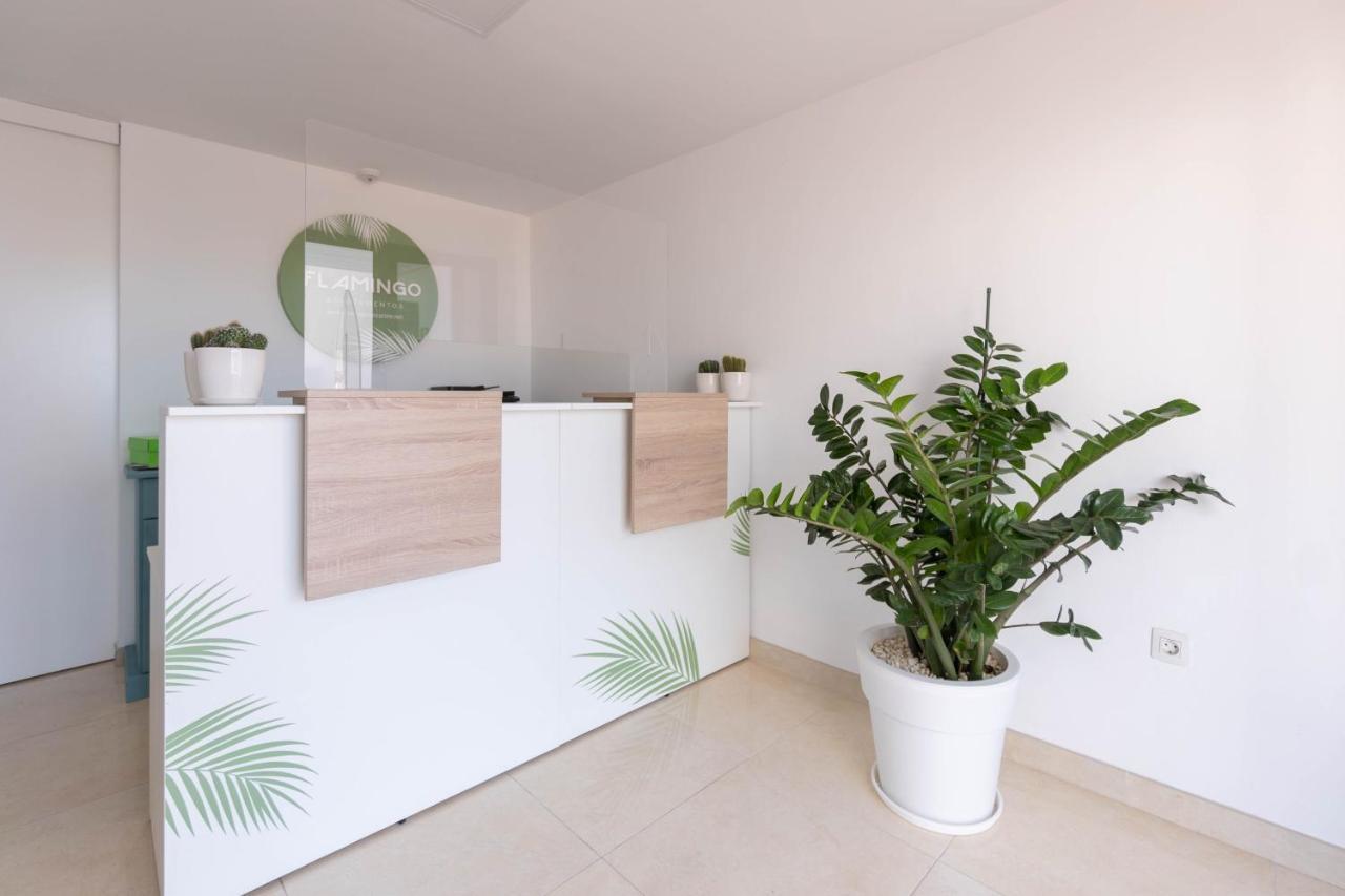 Apartamentos Flamingo Puerto del Carmen (Lanzarote) Exterior foto